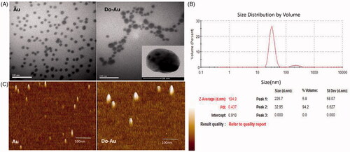 Figure 3. Particle size of Do-AuNP (A) photograph of high resolution transmission electron microscopy (TEM). (B) Dynamic light scattering (DLS) analysis. (C) Atomic force microscopy analysis (AFM).