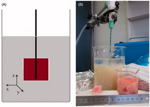 Figure 1. Experimental set-up. (A) Schematic of the side view with reference system: antenna (black), ex vivo tissue (maroon inner-square) and dielectric simulator (grey). (B) Photo of the set-up.