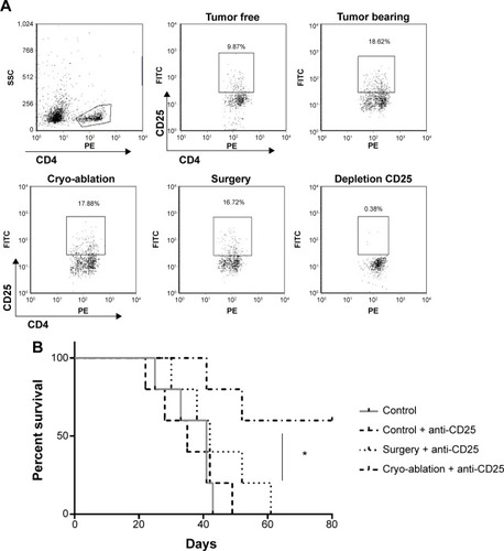 Figure 5 Depletion of Tregs improves the survival rate of cryo-ablated mice.