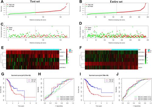 Figure 4 Prognostic analysis of the 5 autophagy-related lncRNAs signature in the test set and the entire set. (A) Distribution of the risk score in the test set. (B) Distribution of the risk score in the entire set. (C) The scatter dot plot of GC patients’ survival status in the test set. (D) The scatter dot plot of GC patients’ survival status in the entire set. (E) The heatmap of the 5 autophagy-related lncRNAs expression in the test set. (F) The heatmap of the 5 autophagy-related lncRNAs expression in the entire set. (G) Kaplan-Meier survival analysis for patients between the high-risk and low-risk groups in the test set. (H) The ROC for the autophagy-related lncRNAs signature in the test set. (I) Kaplan-Meier survival analysis for patients between the high-risk and low-risk groups in the entire set. (J) The ROC for the autophagy-related lncRNAs signature in the test set.