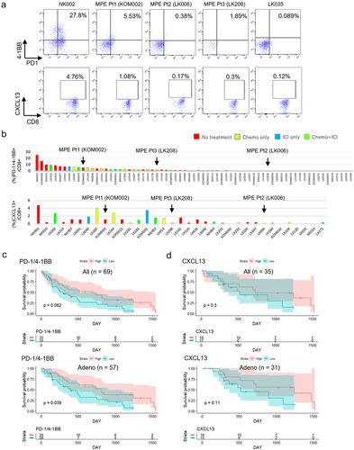 Figure 5. Associations of tumor specific CD8+ T cell fractions in MPE with patients’ prognosis.