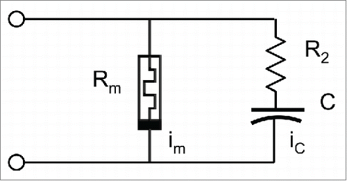 Figure 10. Electrical circuit.