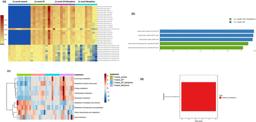 Figure 6. Function pathway analysis of the fecal microbiome samples. Samples are grouped by 11-week control (n = 9), 11-week CP (n = 9), 11-week CP + morphine (n = 9), and 11-week morphine (n = 9). (a) Heatmap of virulence factors in all groups. (b) LefSeSe (linear discriminant analysis effect size) analysis of top discriminative virulence factors between 11-week CP and 11-week CP + morphine. LDA threshold > 2. (c) Heatmap of KEGG pathways in all groups. (d) LefSeSe (linear discriminant analysis effect size) analysis of top discriminative KEGG pathways between 11-week CP and 11-week CP + morphine. LDA threshold > 2.