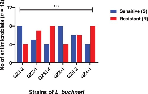 Figure 5. Strains of L. buchneri showing resistance and sensitivity against the selected antimicrobials. Data were analysed through Chi-Square test, statistically significant (P < .05), whereas ns indicates non-significant.