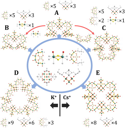 Figure 7. Squarate/[MoVI5O18]6– system showing how the building blocks can assemble into A) {MoV30(C4O4)5(MoVI5O18)3}, B) {MoV32(C4O4)5(MoVI5O18)3}, C) {MoV40(C4O4)7(MoVI5O18)3}, D) {MoV66(C4O4)12(MoVI5O18)6} or E) {MoV48(C4O4)8(MoVI5O18)4}. Mo, teal; O, red; S, yellow; C, white; Coordination positions shown as translucent grey. Red arrows indicate structural relationship and do not necessarily indicate reaction pathway.