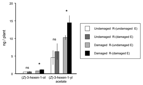 Figure 1. The amounts of green leaf volatiles emitted from Arabidopsis plants subjected to the following treatments: plants exposed to volatiles from undamaged emitter plants were not damaged [undamaged R-(undamaged E)], plants exposed to volatiles from damaged emitter plants were not damaged [undamaged R-(damaged E)], plants exposed to volatiles from undamaged emitter plants were damaged [damaged R-(undamaged E)], and plants exposed to volatiles from damaged emitter plants were damaged [damaged R-(damaged E)]. See text for details.