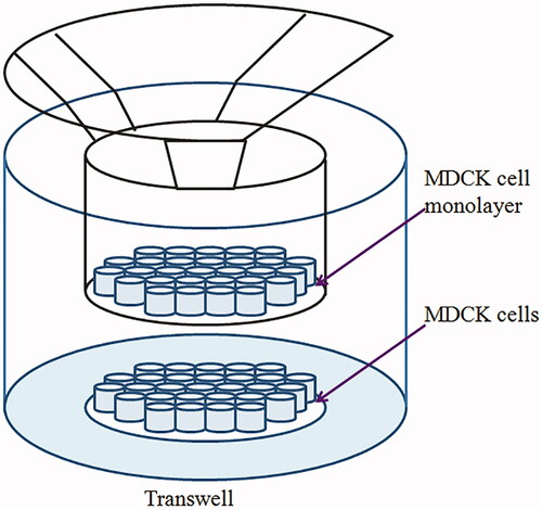 Figure 2. Schematic diagram of the methods used in the transportation experiment.