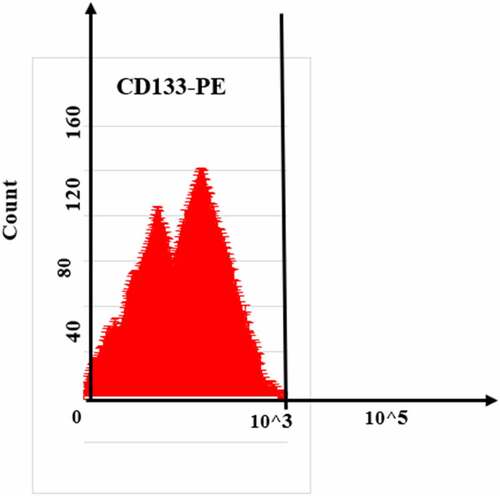 Figure 4. Flow cytometry detection result of EPCs surface marker CD133.