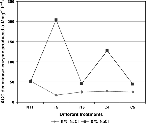 Figure 3.  ACC deaminase production by wild type and rifampicin tagged NaCl adapted cultures in the absence (0%) and in the presence of 6% NaCl concentration. Results showed significant difference at 1% level.