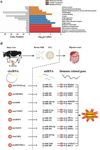 Figure 3. (Continued)