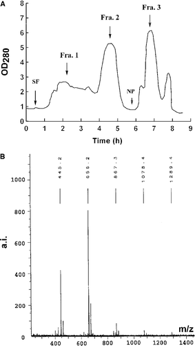 Figure 4.  HSCCC chromatogram of EG-2 and MALDI-TOF mass spectrum of one of active fractions in EG-2. (A): Separation of active components from EG-2. Conditions: Two-solvent system: ethyl acetate-butanol-H2O (4:0.6:5, v/v/v); 0–6 h, in reverse-phase partition mode (mobile phase: aqueous lower phase); 6–9 h, in normal-phase partition mode (mobile phase: organic upper phase); flow rate: 2 mL/min; revolution speed: 850 rpm; sample concentration: 600 mg/30 mL. (B): The MALDI-TOF mass spectrum of an active fraction that was separated from Fraction 3 in EG-2.