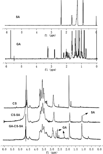 Figure 2. 1H NMR spectrum of SA, GA, CS, CS-SA, and GA-CS-SA.