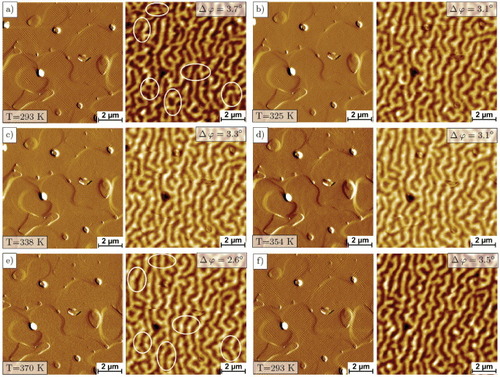 Figure 7. Amplitude error images of topography (left) and MFM phase contrast maps (right) of as-deposited sample M3 measured at five different temperatures between 293 and 370 K and after cooling down to room temperature.