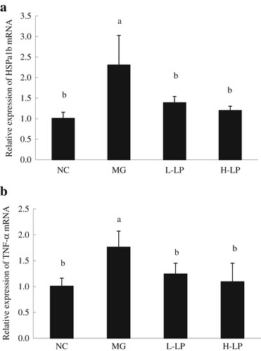 Figure 7. Liver genes expression of HSPa1b (a) and TNF-α (b) in each group. NC, normal control group; MG, model group; L-LP, low dose of loach meat paste; H-LP, high dose of loach paste. Values are mean ± SD (n = 15). Means with different letters (a–d) differ significantly (p < .05).