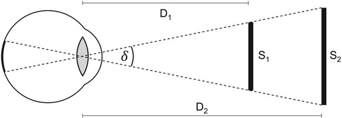 Figure 1. The apparent size of objects, expressed as angle δ, deﬁnes the size of their retinal image and depends on their real-world size (S₁, S₂) and distance from the observer (D₁, D₂).
