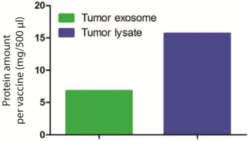 Fig. 2.  Protein amount analysis for tumour exosome (6.78 mg) used in DC immunotherapy compared to equivalent amount of necrotic tumour lysate (15.67 mg).