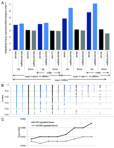 Figure 5. Average fold change of expression in mop1–1 DEG subsets. We measured the magnitude of average expression fold change for mop1-1 DEGs within different subsets. One subset included gene differentially expressed in mop1-1 alone and the other included genes differentially expressed in mop1-1 and tgr1. Within each subset, we measured the average expression of upregulated (Up) and downregulated (Down) genes; those Up and Down genes with 24 nt siRNAs within -2 kb of TSSs (+siRNA) and those that have a class II element within + or -1 kb of the TSS (+TIR) (A). The distribution of p-values for each of the genes falling within a particular subset (B), and the averages of these p-values for upregulated (black line) and downregulated (gray line) genes were calculated (C).