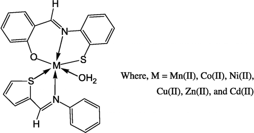 Figure 2 Structure of the complex Where, M = Mn(II), Co(II).