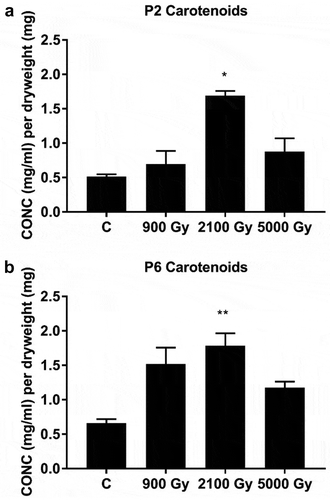 Fig. 10. Cellular content of carotenoids in: a. strain P2 and b. strain P6 before (C = control) and after a given cumulative dose of 60Co gamma irradiation using the TAC assay and applying formula [4]. Data are mean values, bars = SD.
