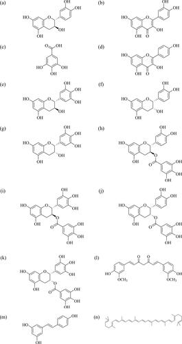 Figure 3. Structures of plant-based bioactive compounds (a) catechin, (b) quercetin, (c) gallic acid (d) kaempferol, (e) gallocatechin, (f) epicatechin, (g) epigallocatechin, (h) catechin gallate, (i) gallocatechin gallate, (j) epicatechin gallate, (k) epigallocatechin gallate, (l) curcumin, (m) resveratrol and (n) lycopene