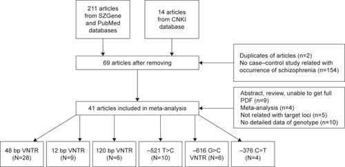 Figure 1 Study selection process in this meta-analysis.