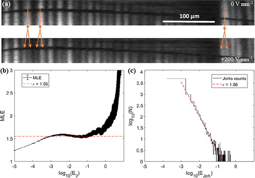 Figure 7. (a) Birefringence image at 0 and 200 V mm−1. The arrows indicate the {a1, a2} twins which double their period at 200 V mm−1. (b) Maximum-likelihood exponent, MLE, (black error bars) showing a plateau expanding along two decades indicated by the red dashed line. (c) Log-log plot for the jerk spectra distribution (black line). The best fit at the same energy range as the maximum-likelihood plateau corresponds to a slope of −1.6 (red dashed line). Reproduced from Ref. [Citation86]. CC BY 4.0.