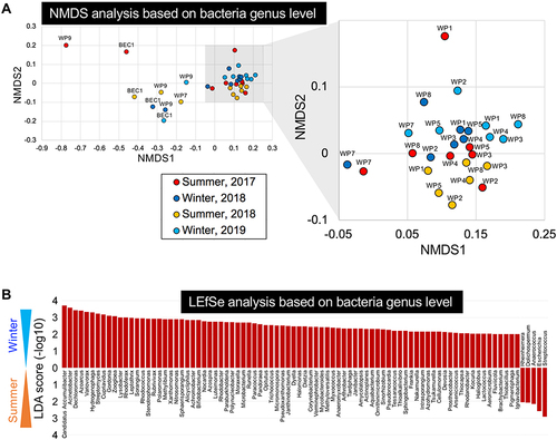 Figure 2 Metagenomic analysis of bacteria in WWTP effluents. (A) NMDS plots of metagenomic sequencing reads classified at the genus level for WWTP (WP1–9) effluents and a recreational beach sample (BEC1). Freshwater areas in WWTPs (WP1–8, see Figure 1) were clustered (gray-shaded area). Clusters were separated in a season-dependent manner but were not WWTP dependent. (B) Seasonality was observed in multiple bacterial genera using LEfSe analysis (score threshold: 2.0).