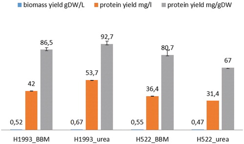 Figure 4. Biomass yield and protein content extracted from C. vulgaris H1993 and D. communis H522.