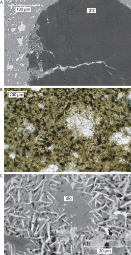 Fig. 3  (A) SEM backscattered electron photomicrograph showing a typical fractured quartz lithic clast. Note lighter grey melt phase infilling crack and barren crack (darkest grey, from top of lithic clast). (B) Photomicrograph in plane polarised light showing a blurry rimmed lithic clast, surrounded by a fine-grained matrix composed mainly of chlorite. (C) SEM photomicrograph showing an indistinct rimmed plagioclase lithic clast, onto which potassium feldspar microlites are growing. Chlorite forms the majority of the surrounding matrix material.