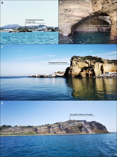 Figure 4. A. Semi-submerged archaeological remains of Vatia Villa at Torregaveta; B. detail of the fish-tank complex remains at Lucullus Villa along the western side of Miseno Cape; C. View from the south of Torregaveta Promontory; D. View of the sea cliffs of Monte di Procida.