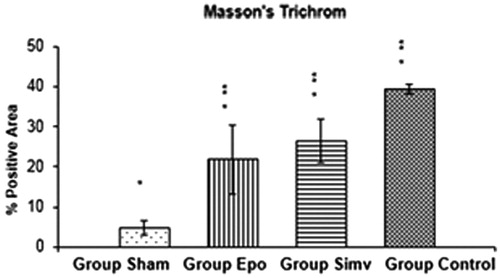 Figure 7. The effect of Epo and Simv on Masson’s trichrome staining. *p <  0.01 group sham versus group Epo, group Simv and group control, **p <  0.01 group control versus group Epo and group Simv.