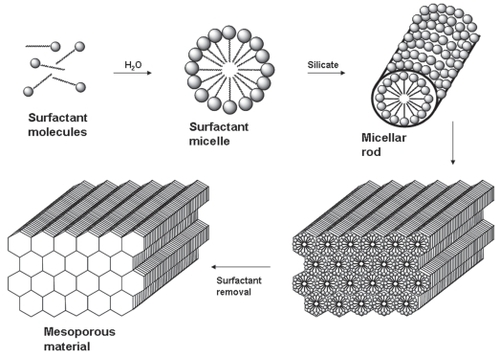 Figure 1 Schematic representation of liquid crystal mechanism used to describe the synthesis of silica-based ordered mesoporous materials.