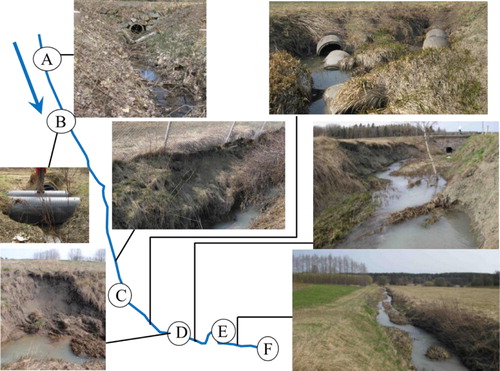 Figure 2. The ditch evaluated (blue line), with the letters A, B, C, D, E and F showing the end of each ditch section. The arrow shows the flow direction.