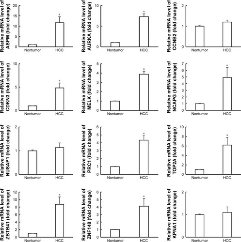 Figure 3 mRNA expression of nine hub genes and three miRNA-target genes in samples of HCC tissues and nontumor liver tissues.