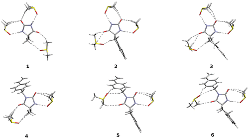 Figure 4. Complexes of investigated systems with explicit DMSO molecules.