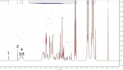 Figure 5. Citation4H NMR spectra of SLMPs.