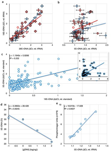 Figure 6. Comparisons of 18S rDNA and 5S rDNA in blood. (a) The correlation between 28S and 18S copy number is retained in blood samples taken from both women diagnosed with (red) or not diagnosed with breast cancer (blue). (b) The correlation between 5S and 18S rDNA copy numbers reported in [Citation27] is not found in our dataset (no diagnosis, blue, R2 = 0.03; positive diagnosis, red, R2 = 0.08). (a) and (b) share an ordinate, error bars are S.E.M., and data are copy numbers relative to tRNAMet. (c) Extremely weak correlation between 18S rDNA copy number and 5S copy number in whole blood taken from people with no indication of any cancer diagnosis. Data are presented without error bars and with censoring of the highest values for clarity, but all data are present in the inset graph. (d) Template dose response for the 5S rDNA primers, as in Figure 1B. (e) Comparison of 5S rDNA copy number determined by qPCR and Southern blot quantification.