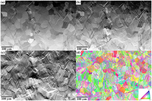Figure 4. BSE-SEM images of the evolution of {332}〈113〉 twin structure upon deformation in the SG sample. (a) 425 MPa/ε: 0.3%; (b) 495 MPa/ε: 1.4%; (c) 560 MPa/ε: 8.1%. (d) EBSD map along tensile direction. Sample deformed to 495 MPa/ε: 1.4%.