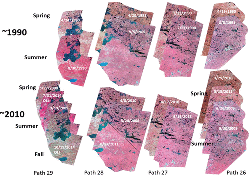 Figure 2. Multitemporal Landsat paths of images (3-band false color composite) used for land cover classification.