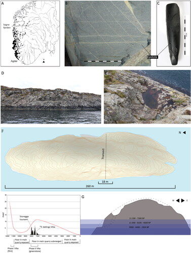 Figure 4. (A) The main distribution of Hespriholmen greenstone adzes is from Sognefjorden in the north to Agder in the south (after Alsaker Citation1987). (B) Closeup of greenstone from Hespriholmen. Note the distinct yellow veinlets of epidote (photo: Leif Inge Åstveit). (C) A polished chubby adze made of Hespriholmen greenstone also with visible veinlets of epidote (photo: Bergen University Museum). (D) The quarry seen from the sea surface. The floor is completely leveled and is 4.7 masl (photo: Leif Inge Åstveit). (E) The floor in the main quarry seen from above (photo: Leif Inge Åstveit). (F) Map of Hespriholmen. The quarry is measured to be 18 m wide. (G) The shoreline displacement curve from Hespriholmen combined with a transect of the islet and summed calibrated dates from Vika. While the flint artifacts were deposited during the regression (i.e., approximately 10,500–11,000 BP), the greenstone was deposited during the transgression probably between 8000 and 7000 BP. The main floor in the quarry was dry land from 9900 to 8400 BP and submerged between 8400 and 2900 BP (transect from Alsaker Citation1987).