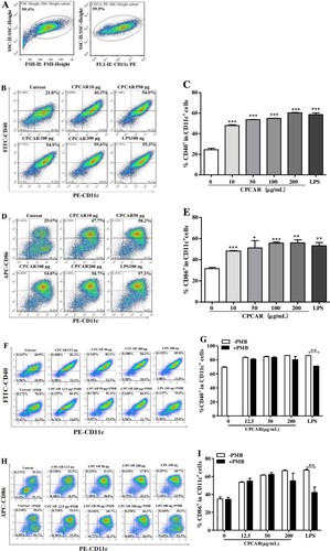 Figure 7. Effects of CPCAR on DC maturation. BMDCs were treated with CARCP (10, 50, 100, 200 μg/mL) or LPS (100 ng/mL) for 12 h, and the levels of CD40 and CD86 on CD11c+ DCs were detected by flow cytometer (n = 3). CARCP (10, 50, 100 μg/mL) or LPS (100 ng/mL) was pre-treated with or without PMB (100 μg/mL) for 1 h and then was used to stimulate BMDCs for 12 h, and the levels of CD40 and CD86 were detected (n = 3). (A) Subsets of CD11c+ cells were gated. (B–C) The profiles of CD11c+CD40+ cells. (D–E) The profiles of CD11c+CD86+ cells. (F–G) The profiles of CD11c+CD40+ cells with or without PMB. (H–I). The profiles of CD11c+CD86+ cells with or without PMB. Bar graph presents the mean ± SD. *P < 0.05, **P < 0.01, and ***P < 0.001 compared with control group.