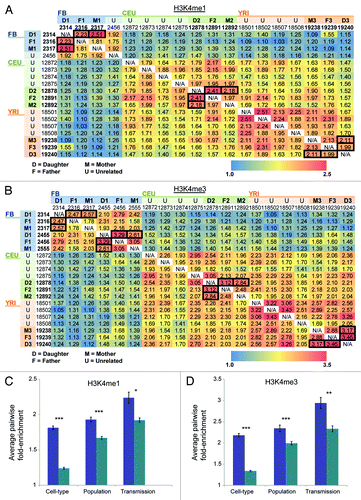 Figure 3. H3K4me1 and H3K4me3 allelic chromatin domains pairwise overlap demonstrates cell-type specificity, population-specificity and heritability (A–B) Heat maps of enrichment of pair-wise overlap between individuals for (A) H3K4me1 and (B) H3K4me3 allelic-chromatin domains, vs. shuffled control regions of equal size. Along the top and side axes are each of the AS-ChIP individuals, labeled by population and whether they are in a trio by their relationship: daughter (D), mother (M), father (F), or unrelated (U). (C-D) Bar charts for H3K4me1 (C) and H3K4me3 (D), showing mean enrichment for pair-wise overlap is significantly higher within cell-types among unrelated individuals from same population (purple) vs. across cell-types. Also pair-wise overlap is significantly higher among unrelated individuals within the same population (purple), vs. across populations, same cell-type, unrelated individuals (green). Finally pair-wise overlap is significantly higher among related individuals from same cell-type and population (purple), vs. unrelated individuals from same cell-type and population (green). * = P < 0.01, ** = P < 0.001, *** = P < 10E-5.