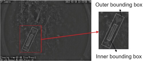 Figure 7. Inner bounding box and Outer bounding box of shrimp were used to calculate the stomach fullness levels.