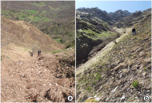 Figure 5. Snow avalanche paths were studied in the field in detail. Avalanche paths (a and b) are geomorphologically active sites. Inside of paths can be appreciated remains of wet snow avalanches.