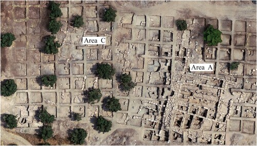 Figure 7 Aerial view (looking north) of The Upper Terrace (Area A) and the Middle Terrace (Area C). Buildings 5000 and 4000 visible on the right, with the areas of production and craft specialization to the west (left side of the photo). A kiln for firing pottery is visible on the lower left corner of the photo (courtesy of the Israel Antiquities Authority, photo by Abd Elghani Ibrahim).