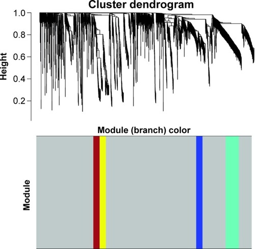 Figure 1 Cluster dendrogram and color display of the co-expression network modules produced by average linkage hierarchical clustering of genes based on topological overlaps in the DEGs. Each branch in the dendrogram is a line that represents a single gene. Height indicates the Euclidean distance. Each color indicates a single module which contained genes with conservation closely in the data set. The area occupied by each color indicates the number of genes within the respective module.