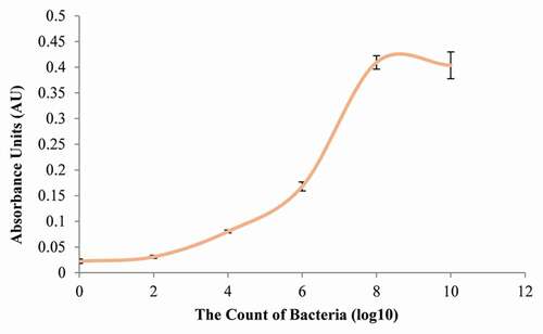 Figure 2. Growth curve of S. mutans. The bacteria cultured in a brain heart infusion (BHI) broth added with yeast extract (1%) for 48 h at 37°C