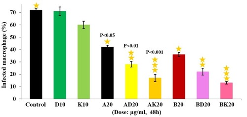 Figure 6 The therapeutic effects of nanodrugs AK(nano amphotericin chitosan)20 µg/mL, AD20 µg/mL, BK20 µg/mL and BD20 µg/mL on the L. major-infected macrophages after 48 h incubation. The highest killing effects were related to BK20 µg/mL with the killing effects of 81%. The values are expressed as Mean ± SD from three independent experiments with P˂0.001.