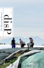 Cover image for disP - The Planning Review, Volume 50, Issue 4, 2014