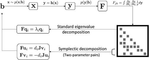 Figure 1: Overview of the sensitivity analysis based on the eigenvalues/eigenvectors of symmetric FIM (F). The proposed symplectic decomposition looks at the sensitivities with respect to two-parameter pairs, and it can be used in tandem with the standard approach to provide additional insights.